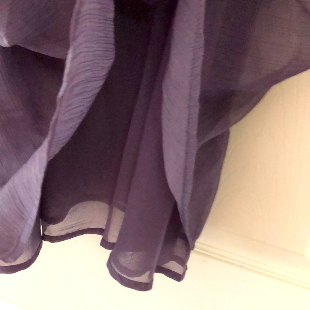 DONATED-EUC, Never Worn, Cheeky Sheer Mini Dress - Picture 6 of 11